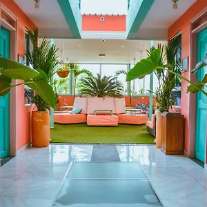  Hostel Flamingo & Coworking